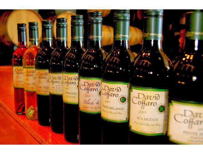 Case of Wine and Tasting for 4 - David Coffaro Winery