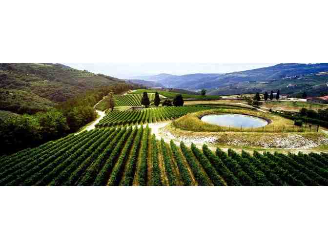 Case of Matriarca Lot 25 Napa Valley Wine - Tedeschi Family Winery