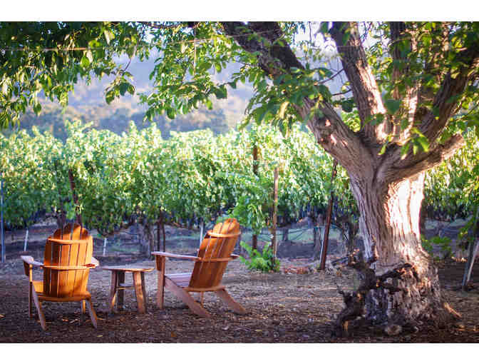 Case of Matriarca Lot 25 Napa Valley Wine - Tedeschi Family Winery