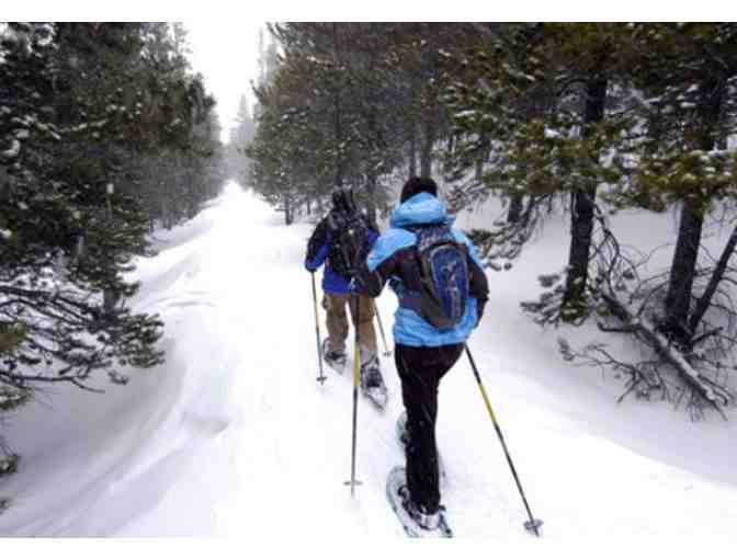 Snowshoe or Cross Country Ski rentals from Outdoor Experience