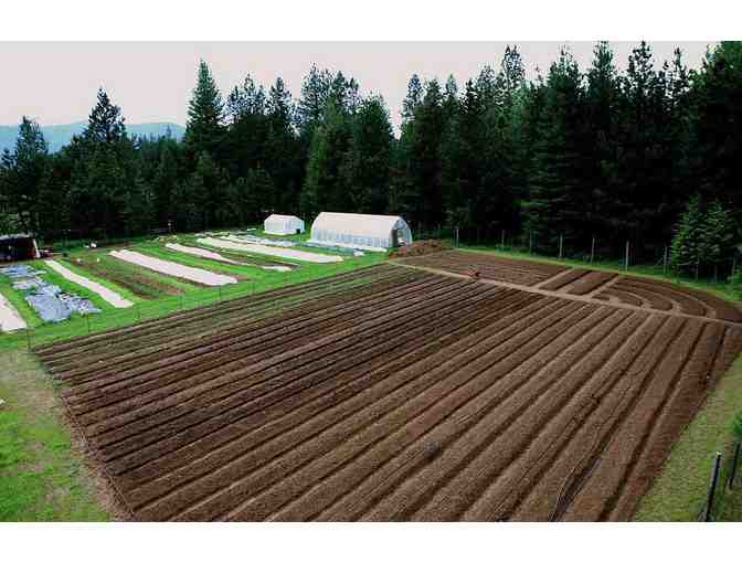 $50 gift card to Red Wheelbarrow Produce 2020