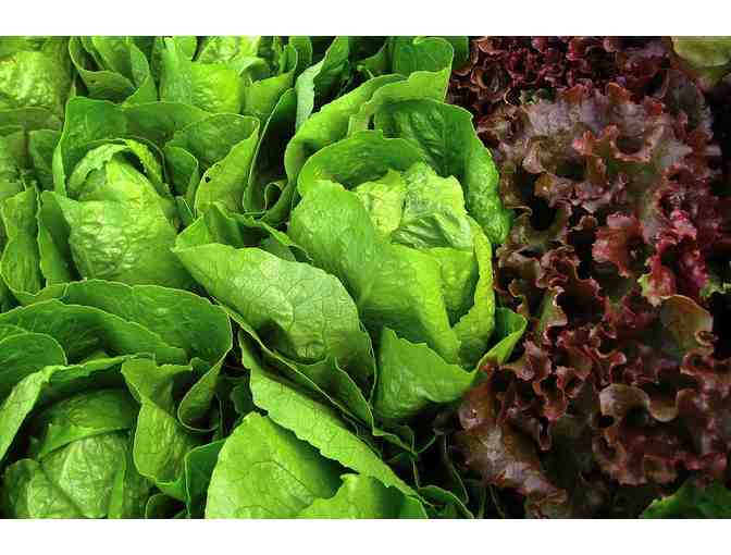 $50 gift card to Red Wheelbarrow Produce 2020