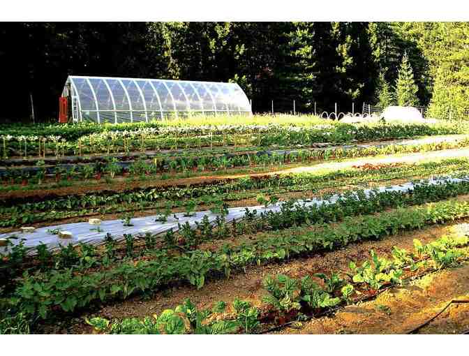 $50 gift card to Red Wheelbarrow Produce 2020