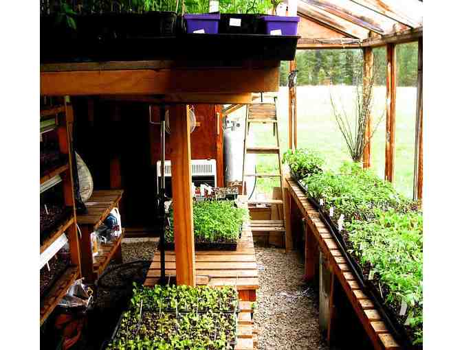 $50 gift card to Red Wheelbarrow Produce 2020