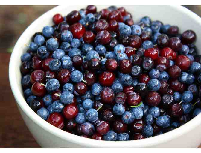 2 gallons of Huckleberries picked in August 2020