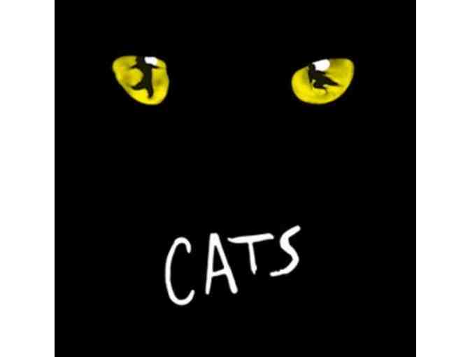 Cats on Broadway