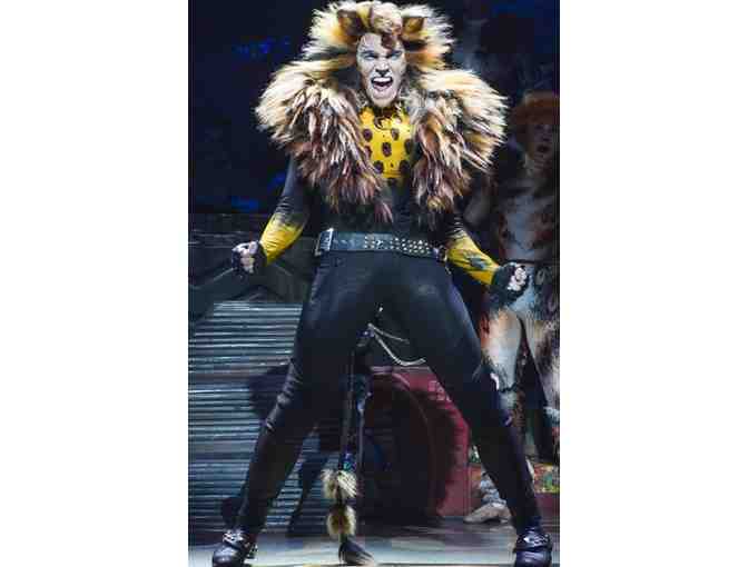 Cats on Broadway