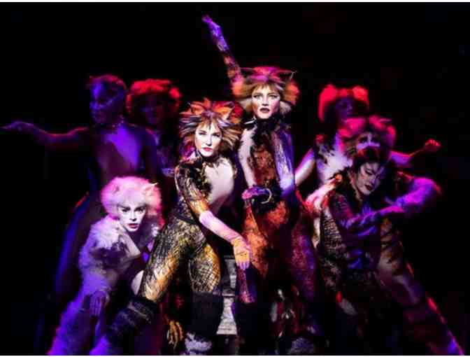 Cats on Broadway