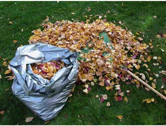 Two Hours of Leaf Raking: Jane Hoover
