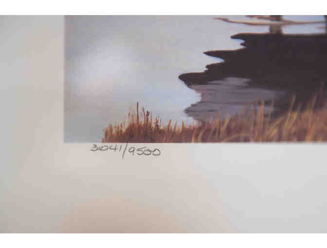 Canvasbacks in Spring by J. F. Landsdowne, 1986 Stamp & Print