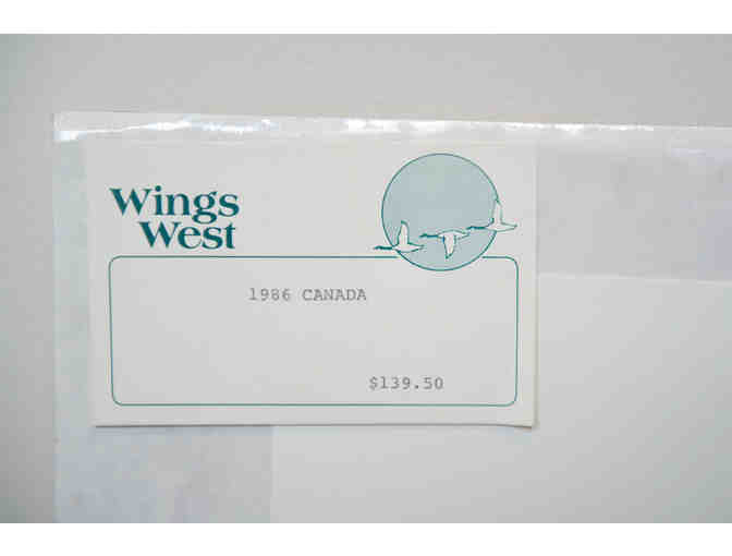 Canvasbacks in Spring by J. F. Landsdowne, 1986 Stamp & Print