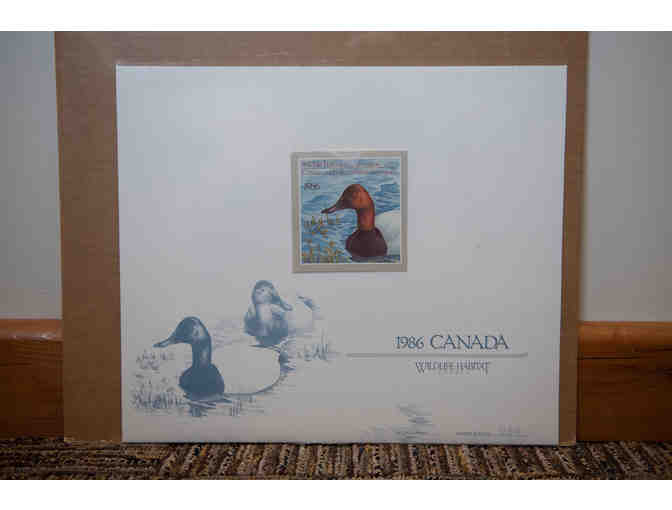 Canvasbacks in Spring by J. F. Landsdowne, 1986 Stamp & Print