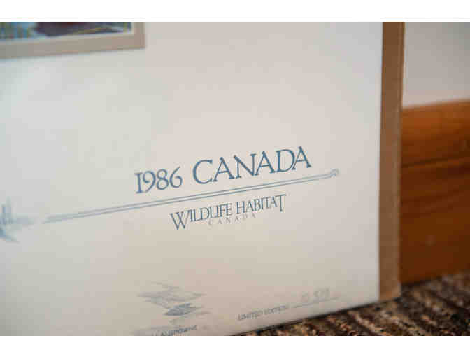 Canvasbacks in Spring by J. F. Landsdowne, 1986 Stamp & Print