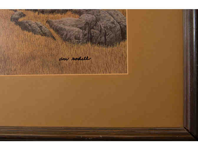 Framed Print by Ron Dodell