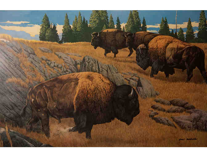 Framed Print by Ron Dodell