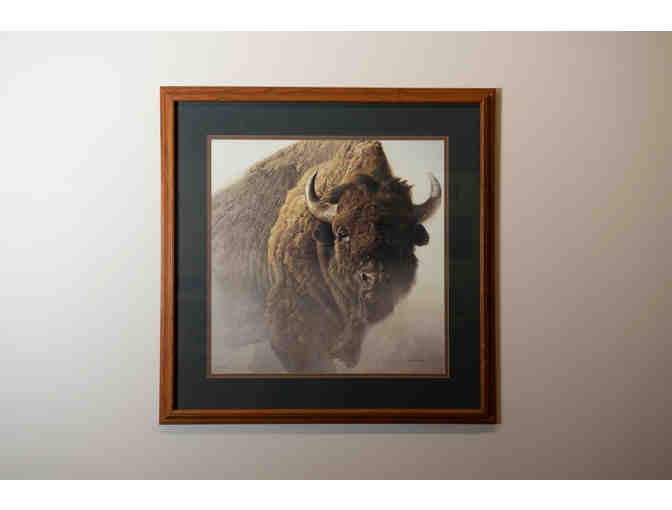 Chief American Bison by Robert Bateman, Framed Print