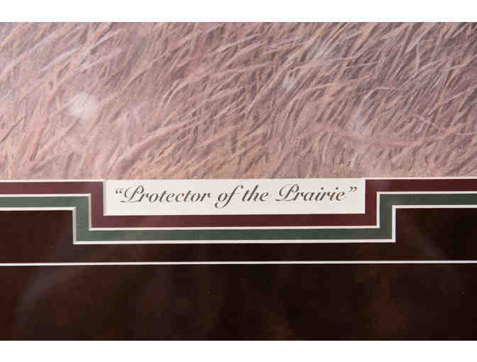 Protector of the Prairie by Bob Schyvers, Framed Print 297/500