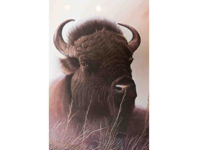 Protector of the Prairie by Bob Schyvers, Framed Print 297/500