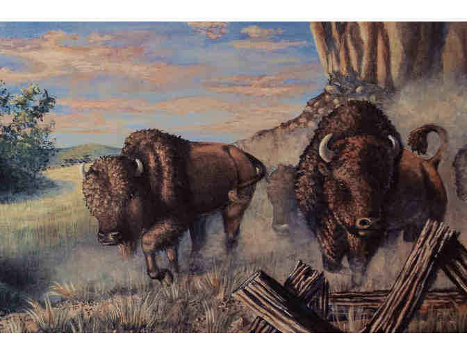 Framed Print by Michele Gorres, 144/530