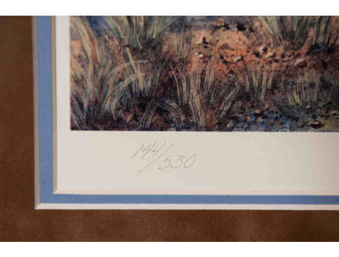 Framed Print by Michele Gorres, 144/530