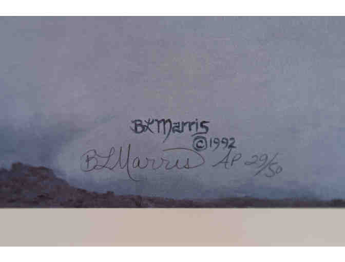 Stand and Endure by Bonnie Marris, Framed Print 29/50