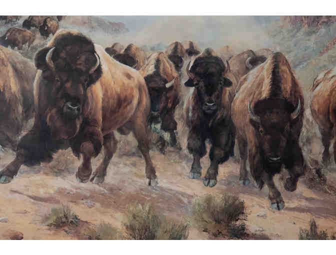 Thundering Herd by Bill Freeman, Framed Print 552/1000