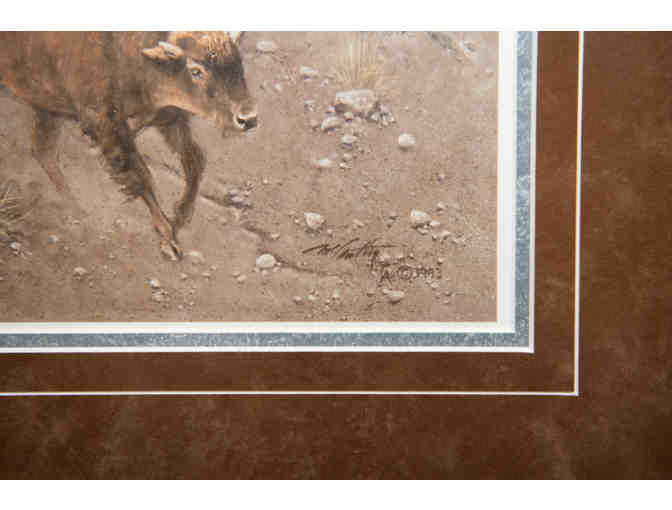 Flashes Of Lightning, Thunder Of Hooves by Frank C. McCarthy, Set of 3 Framed Prints