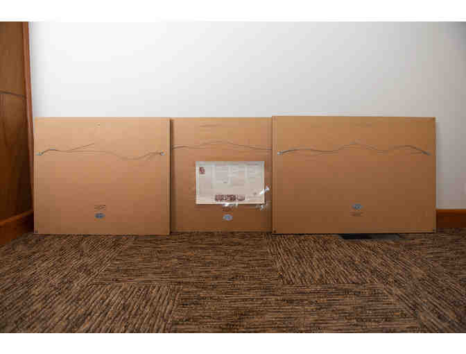 Flashes Of Lightning, Thunder Of Hooves by Frank C. McCarthy, Set of 3 Framed Prints