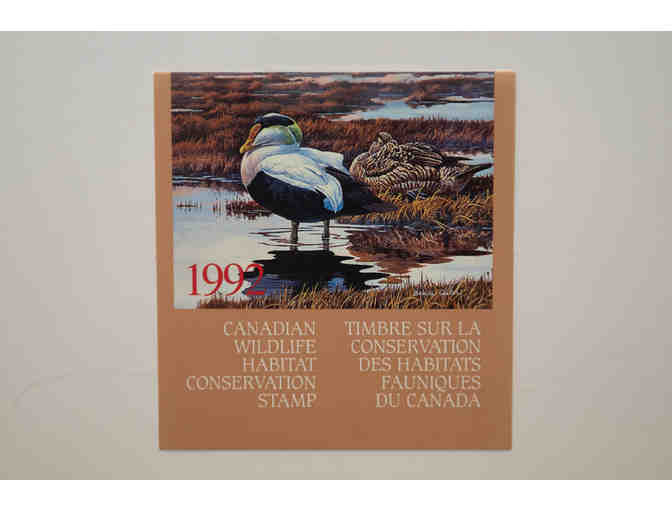 Northern Water -- Common Eiders by Brenda Carter, 1992 Stamp & Print #3041