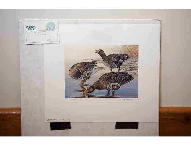 White-Fronted Geese by D.M. Smith, 1986 Stamp & Print