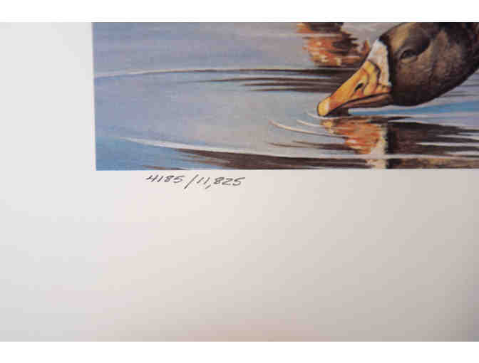 White-Fronted Geese by D.M. Smith, 1986 Stamp & Print