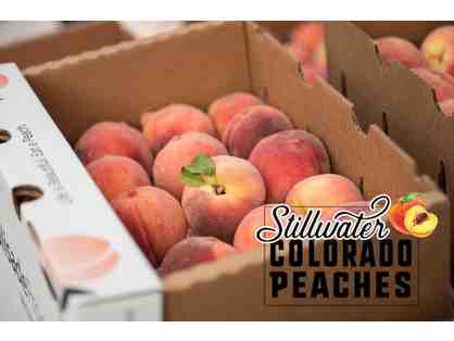 Fresh Colorado Peaches - 20lb Box