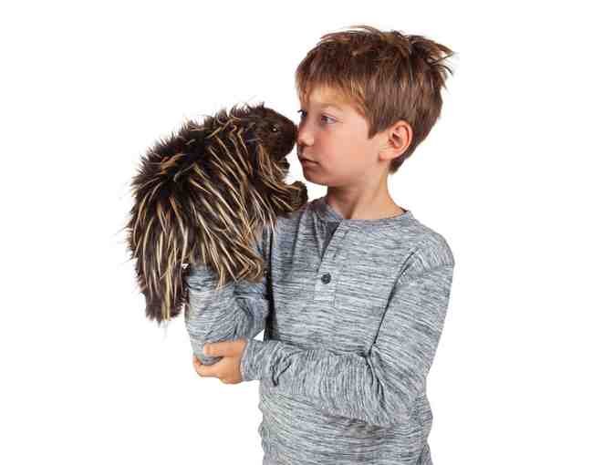 Folkmanis Porcupine Puppet