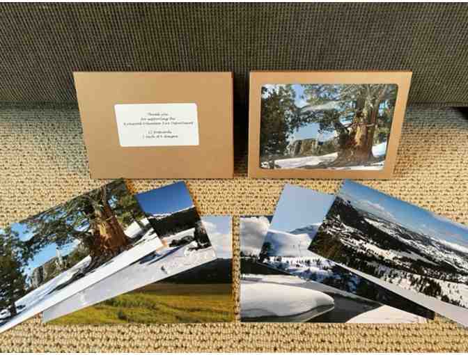 Kirkwood Postcards: Twelve Cards with Six Images