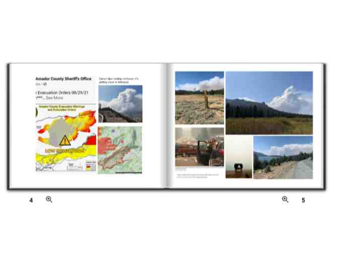 Caldor Fire Photo Book by Bob Williams