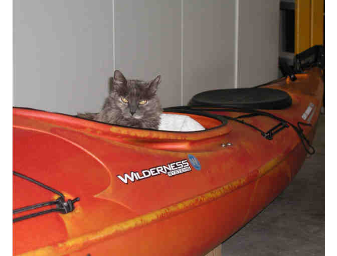 Kayak, 1 person sit-in Wilderness Systems