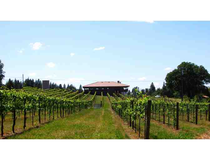Wine Tasting for 4 with the Wine Maker at Golden Leaves Wines