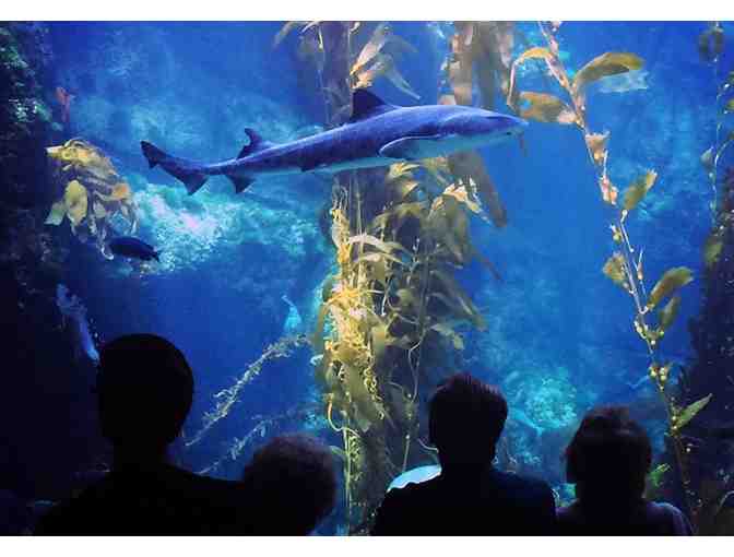 (4) FOUR VIP tickets to Birch Aquarium at Scripps!