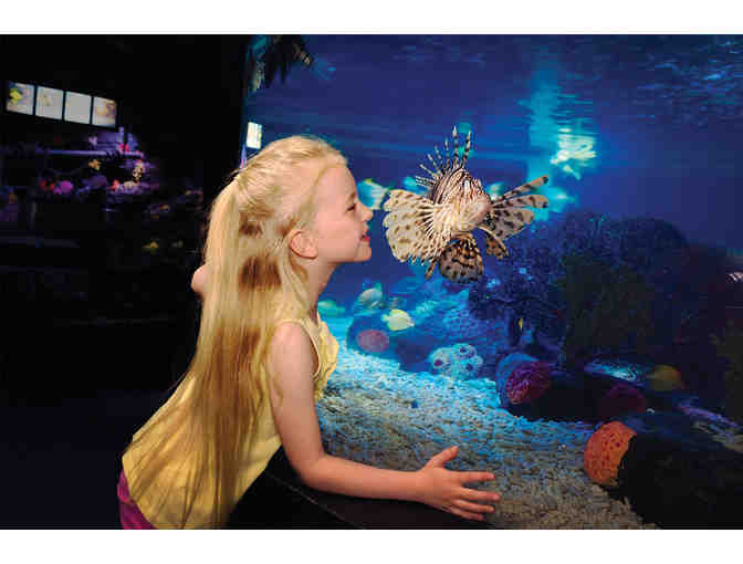 (4) FOUR pack Hopper tickets to Legoland and Sea Life Aquarium!!!