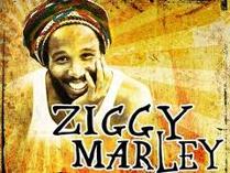Ziggy Marley - Hollywood Bowl Box for Four - July 15th