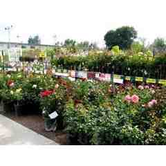 Green Arrow Nurseries