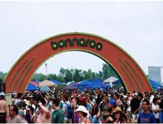 Bonnaroo Music Festival Tickets (Sold Out!) - 2 Tickets