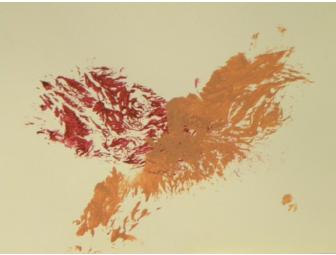 A Touch of Love Notecard by 'Rhingo' Rhinelander Rabbit & 'Constance' Lion-Head Mix Rabbit