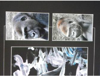 Be Mine! Painting by 'Bantu' and 'Ajari' Western Lowland Gorillas