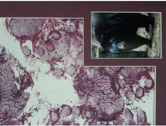 'Beary' Special Love painting by 'Ursula' American Black Bear