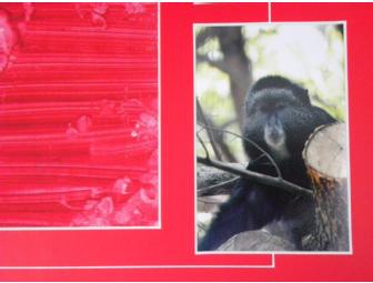 Red Hot Love painting by 'J.T.' and 'Shelly' Blue Monkeys