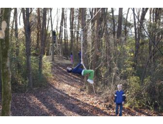 Zip Line Party For 10