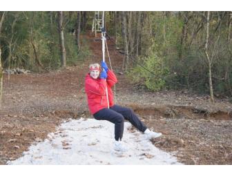 Zip Line Party For 10