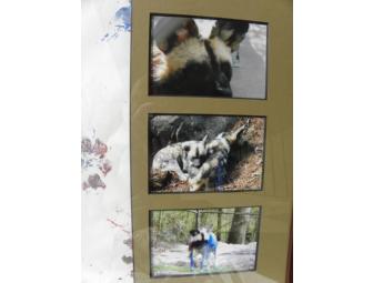 'A Dog's Life' Painting by 'Cleo', 'Cruella' and 'Bakari', African Painted Dogs