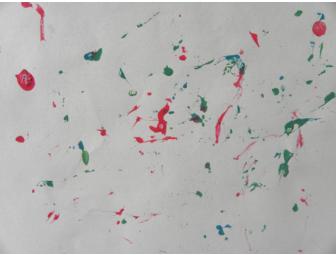 'Don't Rush Me' Spider Tortoise